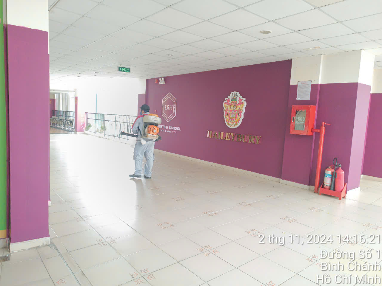 Dịch vụ diệt côn trùng - Công Ty TNHH Kiểm Soát Côn Trùng Sao Việt
